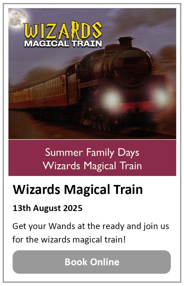 Wizards Magical Train
